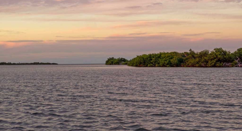 The sky appears in gentle colors above a body of water. There is a small body of land with greenery in the distance. 